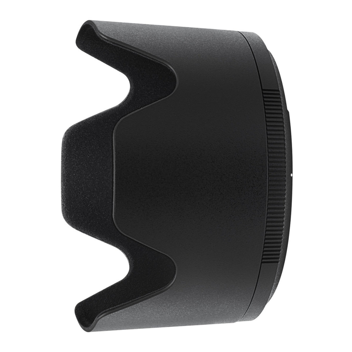 Nikon Z 6II Mirrorless Digital Camera with NIKKOR Z 70-200mm f/2.8 VR S Lens