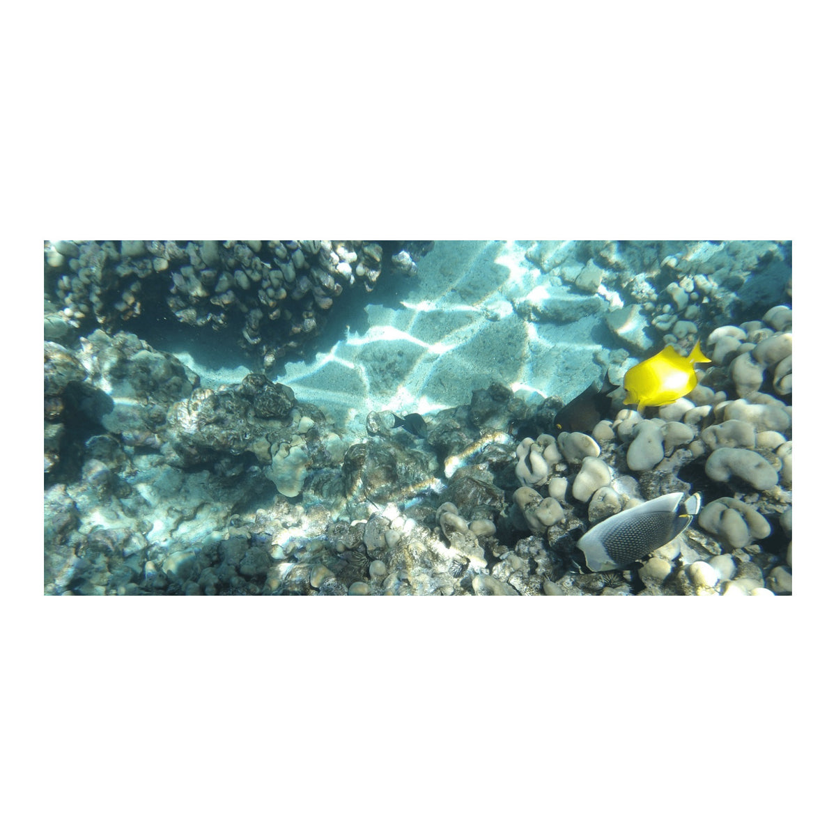 Kodak PIXPRO WPZ2 Rugged Waterproof 16MP Digital Camera with 4x Optical Zoom (Yellow)