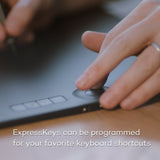 Wacom PTH860 Intuos Pro Creative Pen Tablet (Black, Large)