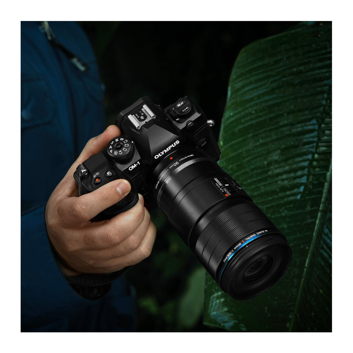 Olympus M.Zuiko Digital ED 90mm F3.5 Macro IS PRO Lens (Micro Four Thirds)