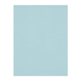 Westcott X-Drop Wrinkle-Resistant Backdrop Perfect for Video Conferencing (Pastel Blue, 5 x 7 Feet)