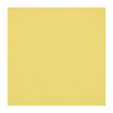 Westcott X-Drop Pro Wrinkle-Resistant Backdrop (Canary Yellow, 8 x 8 Feet)