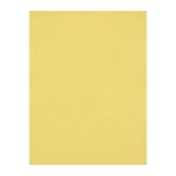 Westcott X-Drop Wrinkle-Resistant Backdrop, Best for Video Conferencing (Canary Yellow, 5 x 7 Feet)