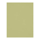 Westcott X-Drop Wrinkle-Resistant Backdrop, For  Video Conferencing (Light Moss Green, 5 x 7 Feet)