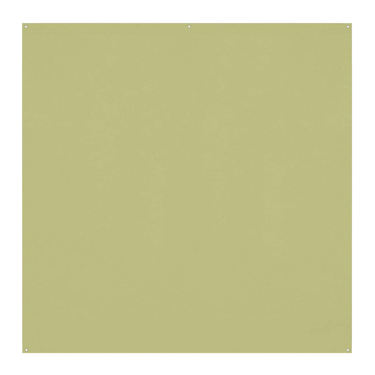 Westcott X-Drop Pro Wrinkle-Resistant Backdrop (Light Moss Green, 8 x 8 Feet)