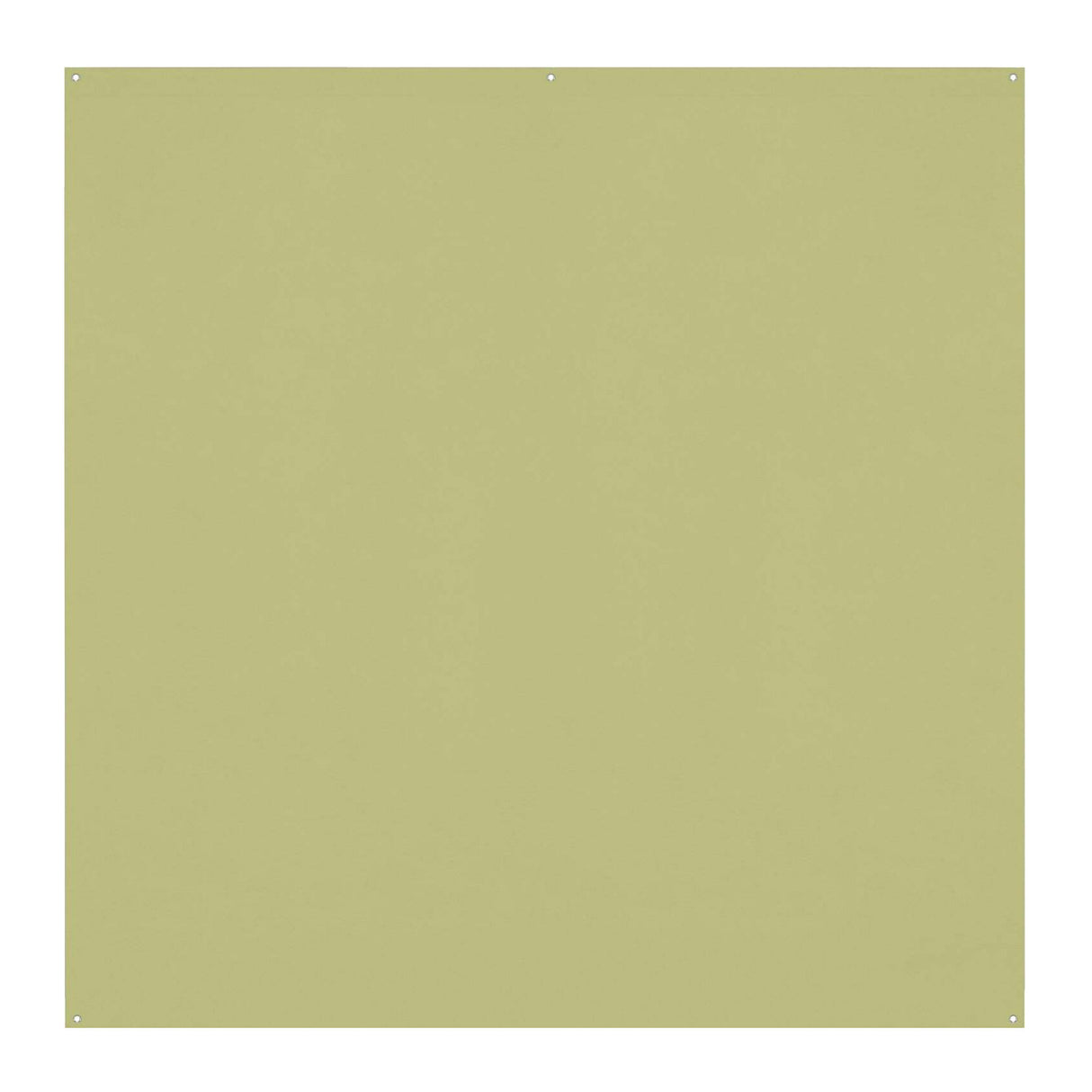Westcott X-Drop Pro Wrinkle-Resistant Backdrop (Light Moss Green, 8 x 8 Feet)