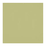 Westcott X-Drop Pro Wrinkle-Resistant Backdrop (Light Moss Green, 8 x 8 Feet)