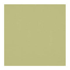 Westcott X-Drop Pro Wrinkle-Resistant Backdrop (Light Moss Green, 8 x 8 Feet)