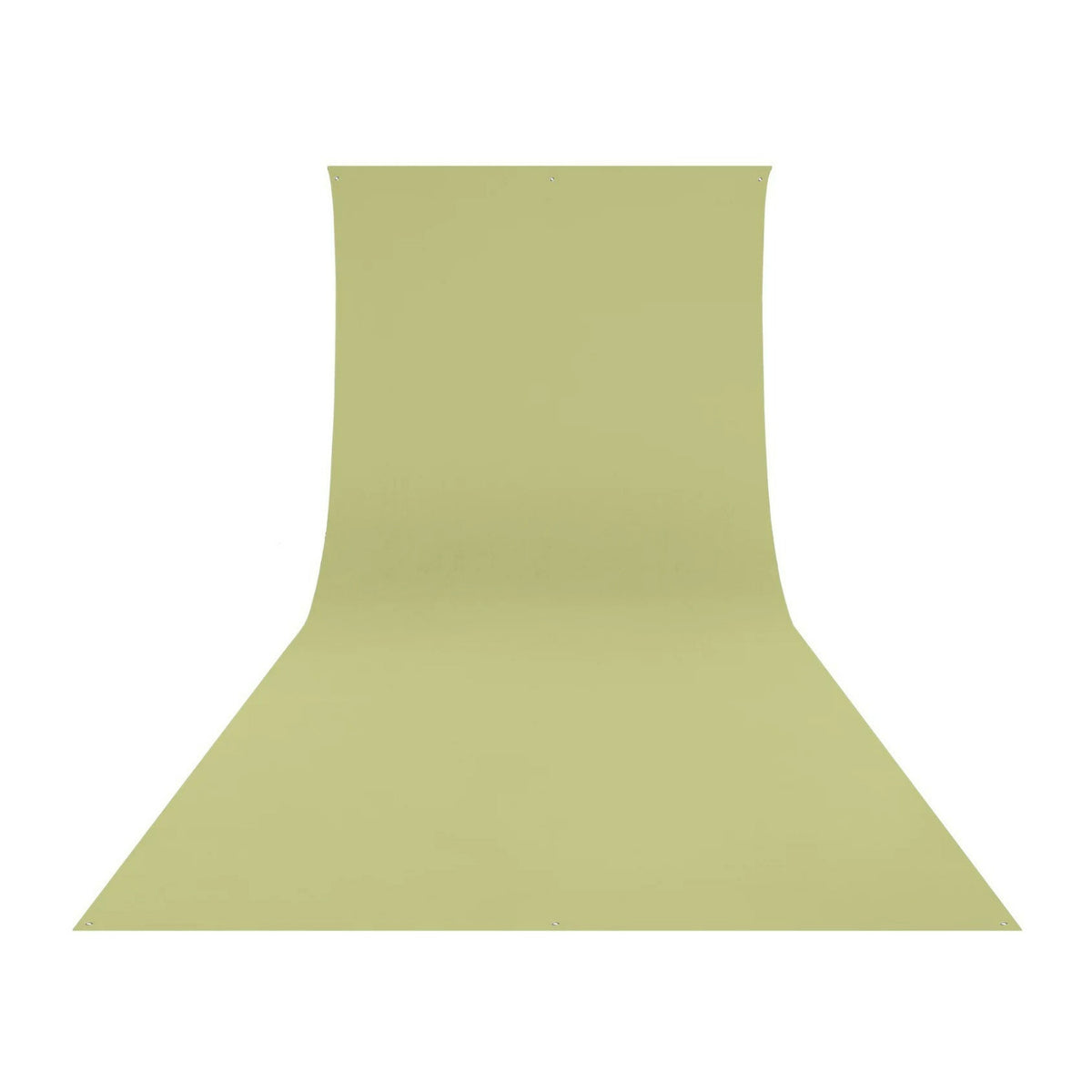 Westcott Wrinkle-Resistant, Machine-Washable Backdrop (Light Moss Green, 9 x 10 Feet)