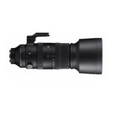 Sigma 60-600mm F4.5-6.3 DG DN OS Sports Lens for Sony E Mount with 1 TB Hard Drive, Lens Hood Bundle