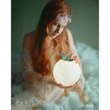 Westcott 9' x 20 Photo Backdrops 5-Pack Colors (Brown, White, Blue, Green, Pink)