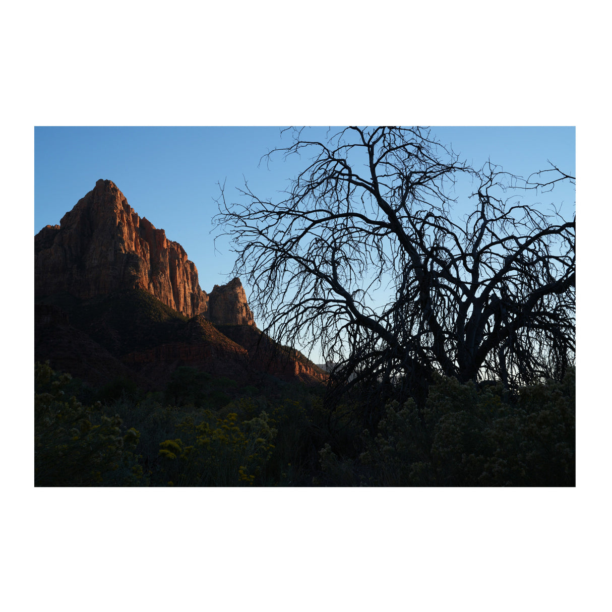 Sony FE 50mm F1.4 GM Full-Frame Large-Aperture G Master Lens