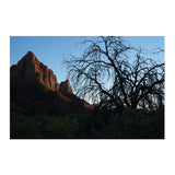 Sony FE 50mm F1.4 GM Full-Frame Large-Aperture G Master Lens