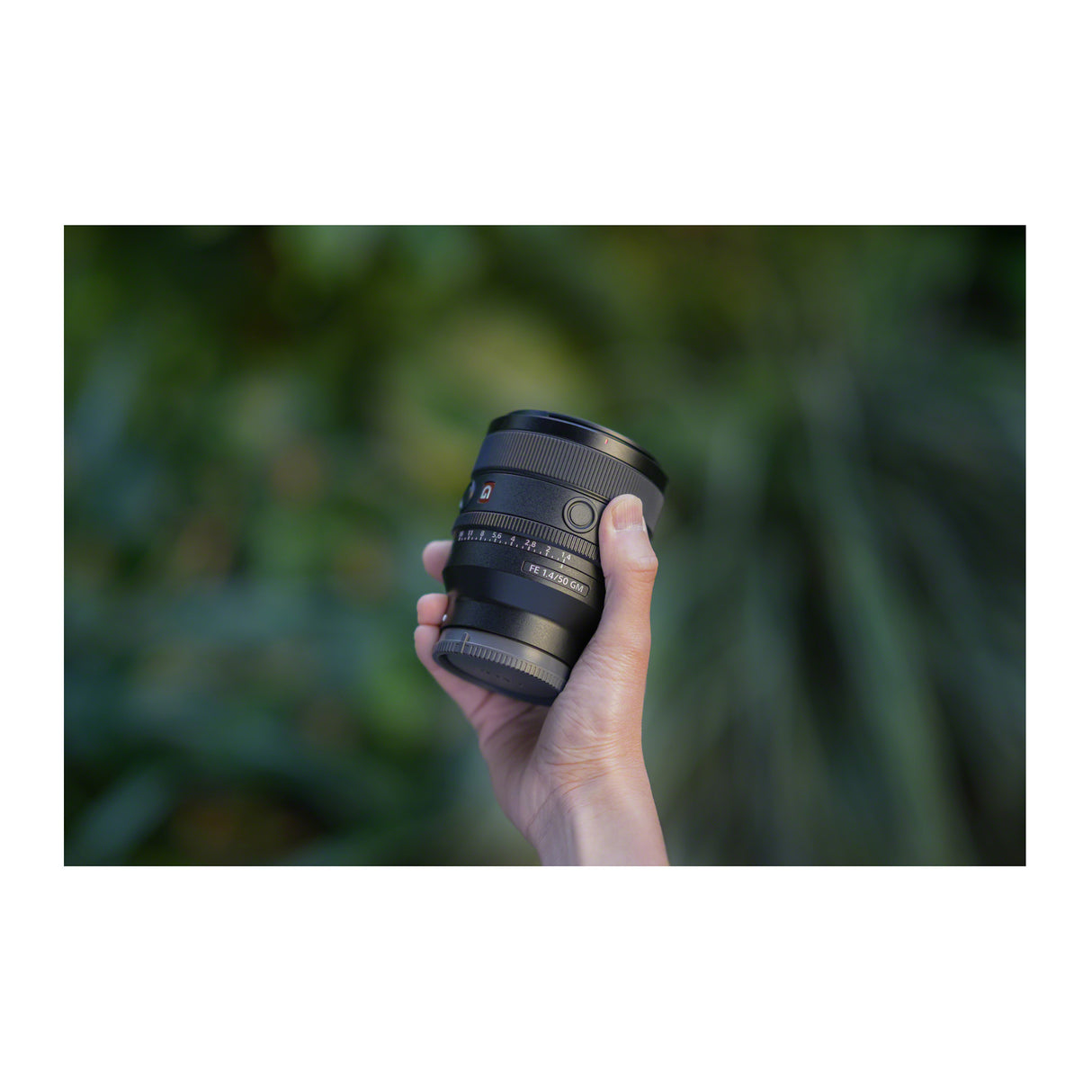 Sony FE 50mm F1.4 GM Full-Frame Large-Aperture G Master Lens