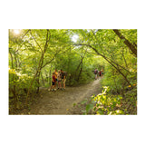 Garmin eTrex SE Handheld GPS Navigator