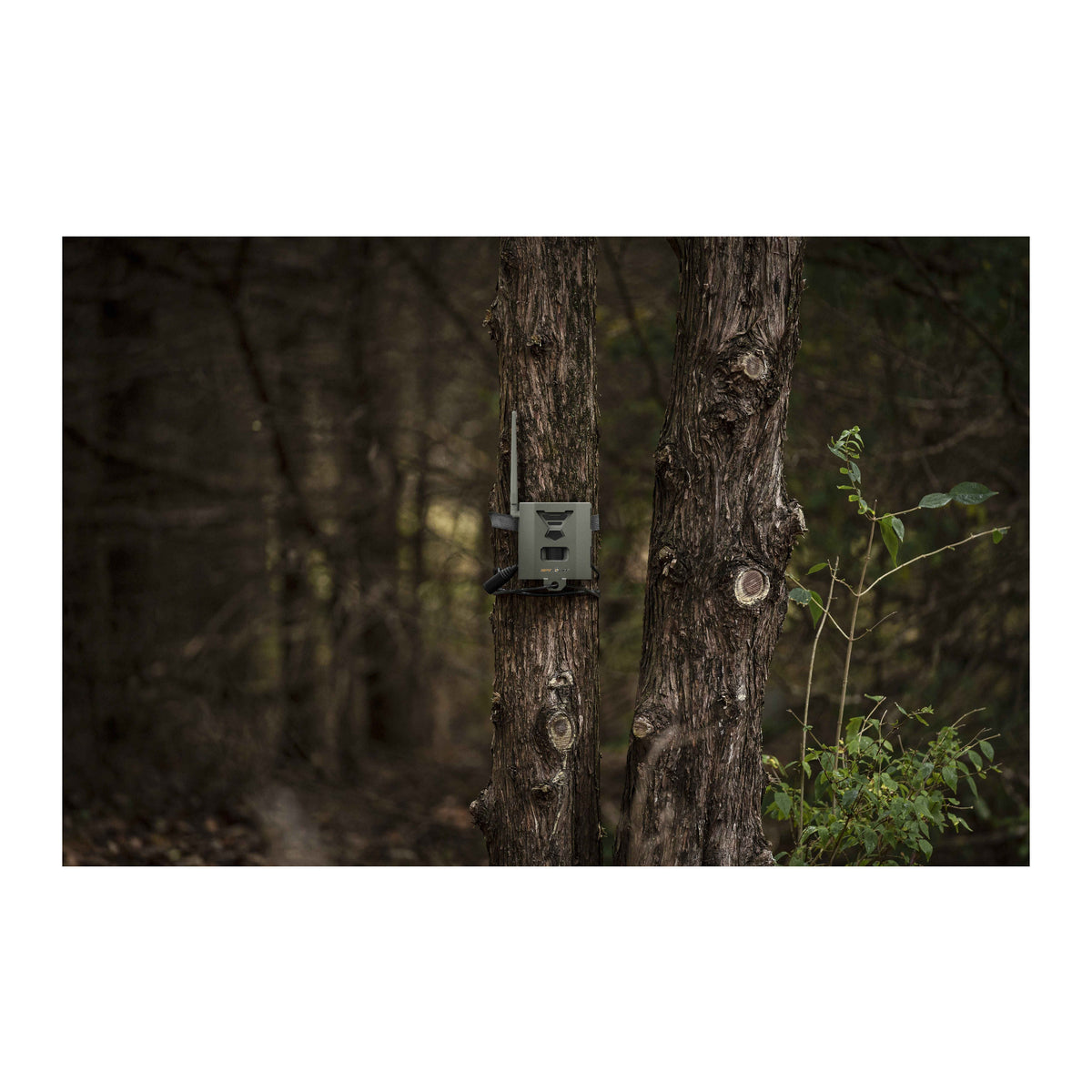 Spypoint SB-500 16-Guage Zinc-Coated Steel Flex Security Box Protection for Flex Spypoint Cameras