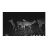 Wildgame Innovations Terra Extreme 14MP Camera with SD Card and High-Speed Card Reader