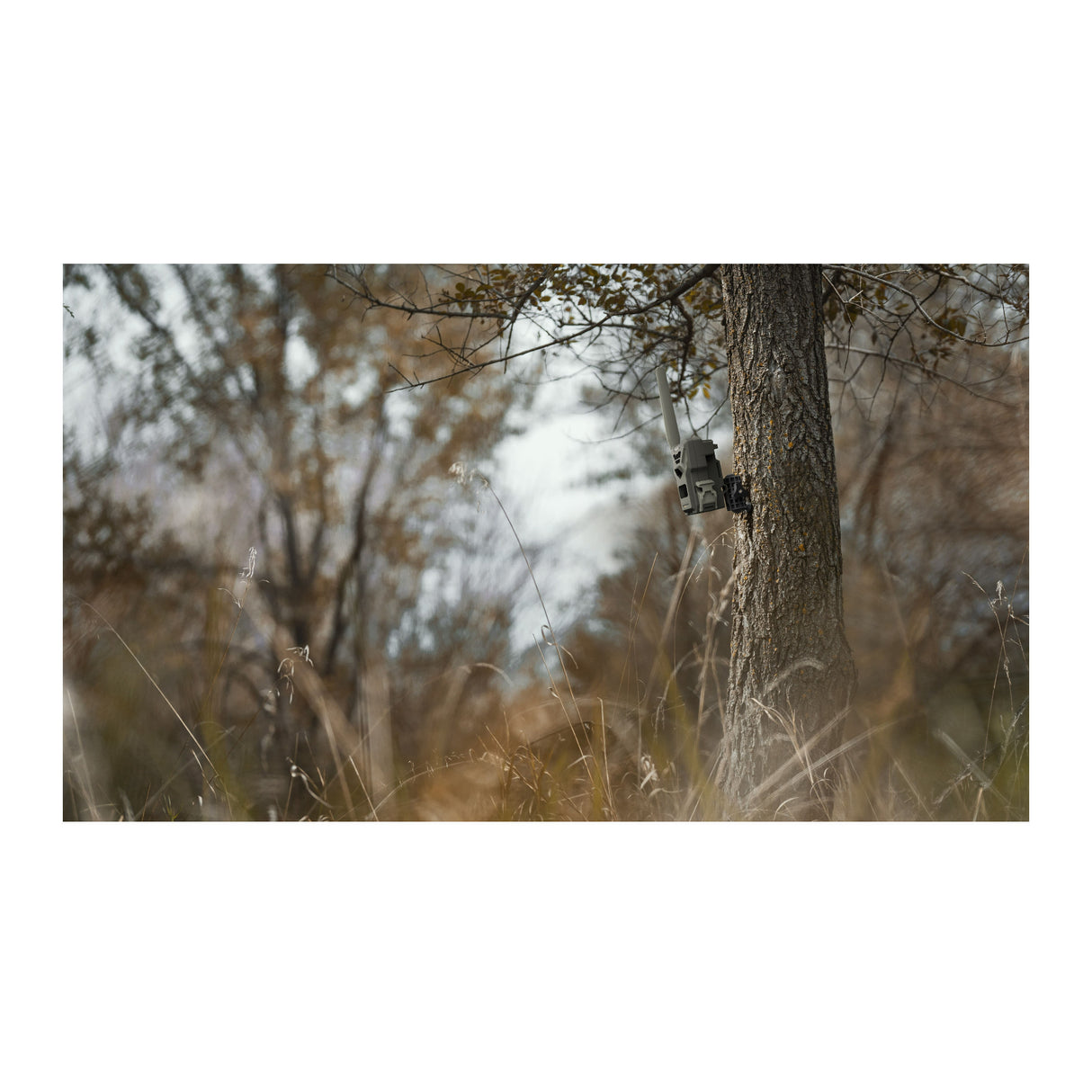 Spypoint Adjustable Mounting Arm with 360 Degree Rotation, 90 Degree Tilt and Mounting Screw (Black)