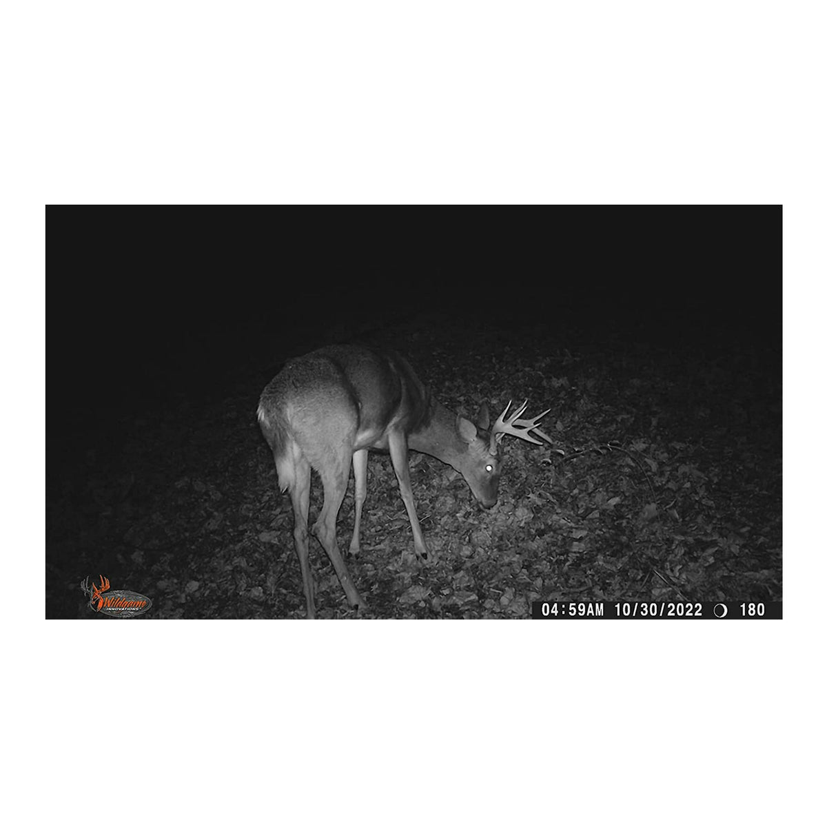Wildgame Innovations Terra Extreme 14MP Camera with SD and Card Reader (4-Pack)