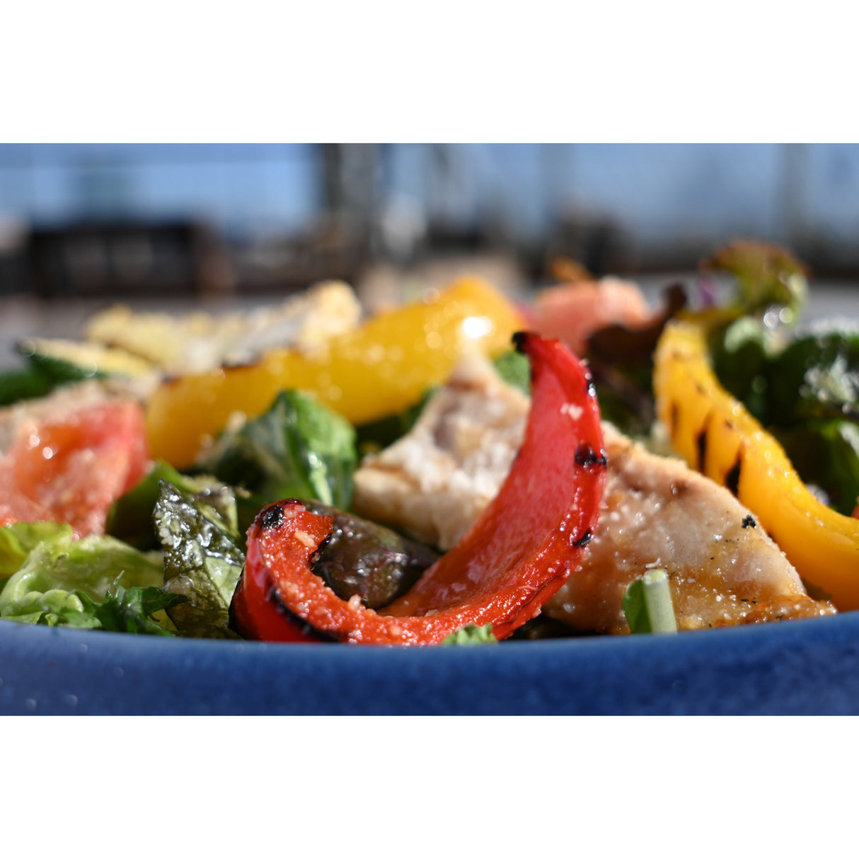 Nikon NIKKOR Z DX 12-28mm f/3.5-5.6 PZ VR Lens (Nikon Z)