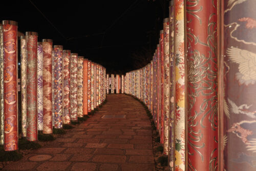 Canon EOS R10 Mirrorless Camera