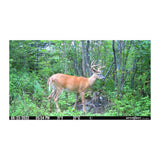 Spypoint FLEX Cellular 33MP, 1080P, Dual-sim Configuration Trail Camera (Gray)