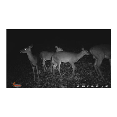 Wildgame Innovations Terra Extreme 14MP IR Trail Infrared Camera for Still Images and Video (Bark)