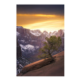 Nikon Z8 Mirrorless Camera with 24-120mm f/4 Lens