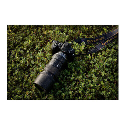 Olympus M.Zuiko Digital ED 300mm f/4.0 PRO Lens (Black)