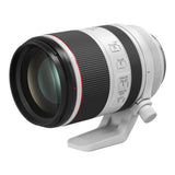Canon EOS R8 Mirrorless Camera with Canon RF 70-200mm f/2.8L IS USM Lens