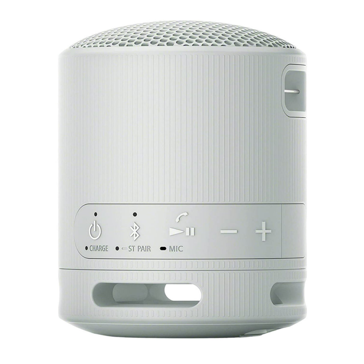 Sony SRS-XB100 Wireless Bluetooth Portable Lightweight Compact Travel Speaker with Strap (Gray)