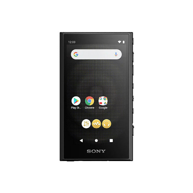 Sony NW-A306 Walkman A Series High-Resolution Digital Audio Player with 3.6 Display (Black)