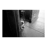 Ricoh GR III Premium Compact Digital Camera