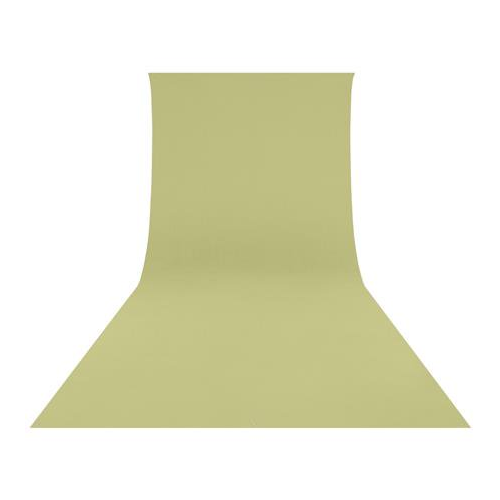 Westcott Wrinkle-Resistant, Machine-Washable Backdrop (Light Moss Green, 9 x 20 Feet)