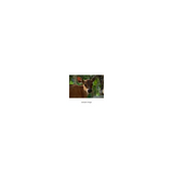 Fujifilm XC 50-230mm f/4.5-6.7 OIS II Lens (Black)