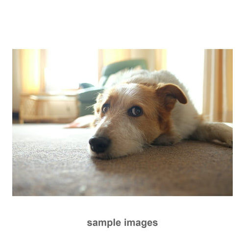 Fujifilm XF 16mm f/1.4 R WR Lens