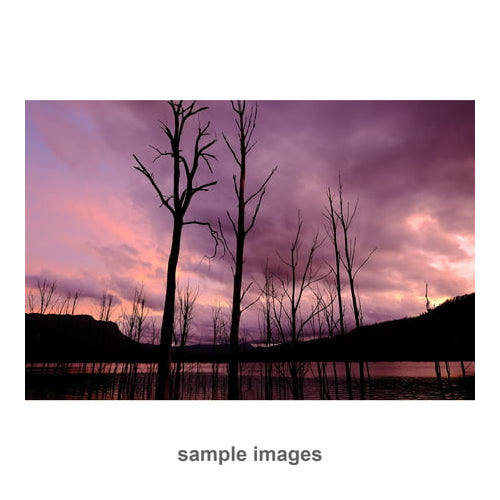 Fujifilm XF 16mm f/1.4 R WR Lens