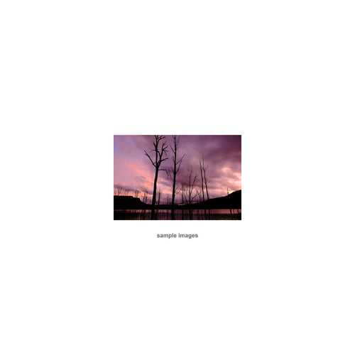 Fujifilm XF 16mm f/1.4 R WR Lens