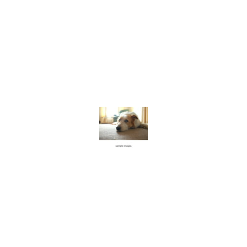 Fujifilm XF 16mm f/1.4 R WR Lens