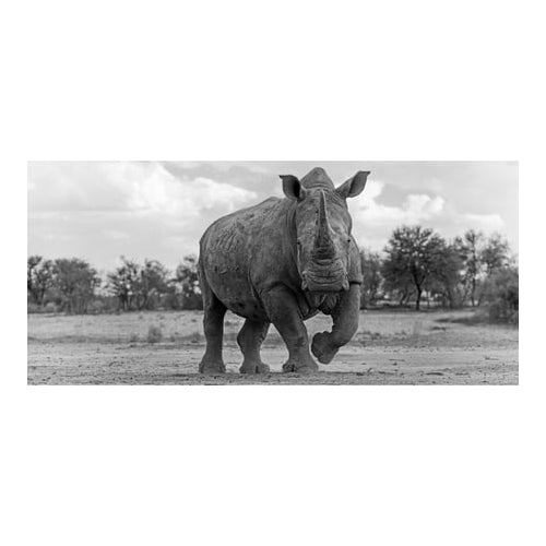 Nikon NIKKOR Z 70-200mm f/2.8 VR S Lens