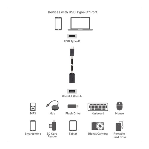 Cable Matters USB-C to USB 3.0 Adapter (6-Inch, Black)