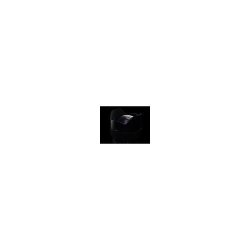 Sigma 14-24mm f/2.8 DG DN Art Lens for Sony E