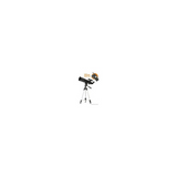 Celestron Travel Scope 80 with Backpack and Smartphone Adapter