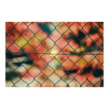 Sigma 50mm F1.4 DG DN Art Lens Compatible with Sony E Mount, High-Response Linear Actuator (Black)