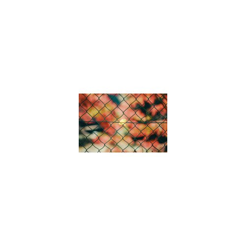 Sigma 50mm F1.4 DG DN Art Lens Compatible with Sony E Mount, High-Response Linear Actuator (Black)