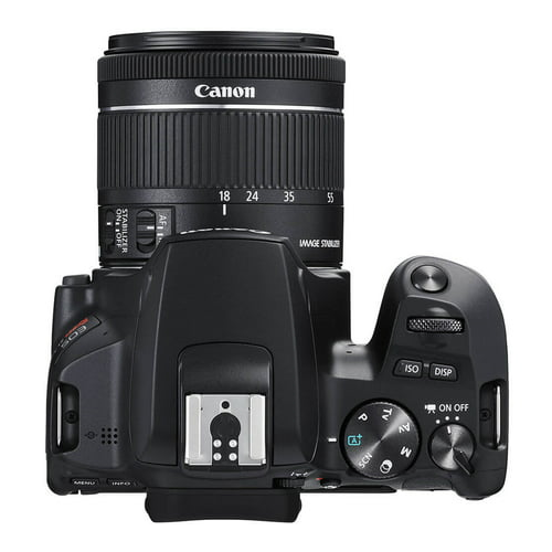 Canon EOS Rebel SL3 DSLR Camera with EF-S 18-55mm f/4-5.6 IS STM Lens (Black)