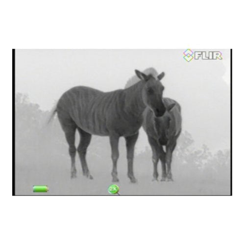 FLIR Scout III-640 Thermal Vision Monocular (Black/Brown)