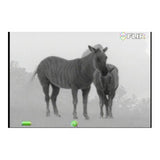 FLIR Scout III-640 Thermal Vision Monocular (Black/Brown)