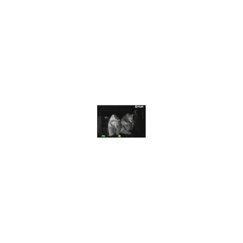 FLIR Scout III-640 Thermal Vision Monocular (Black/Brown)