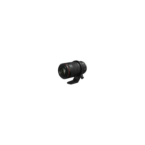 Canon RF 100mm f/2.8L Macro IS USM Lens